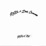 دانلود آهنگ Rezz ft. Dove Cameron به نام Taste of You