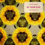 دانلود آهنگ Calvin Harris ft. Tom Grennan به نام By Your Side