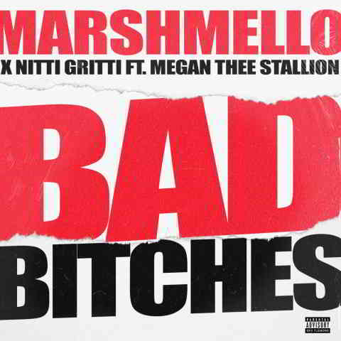 دانلود آهنگ Marshmello, Nitti Gritti & Megan Thee Stallion به نام Bad Bitches