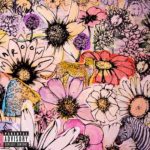 دانلود آهنگ Maroon 5 ft. Anuel AA & Tainy به نام Button