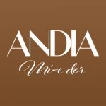 دانلود آهنگ Andia به نام Mi-E Dor