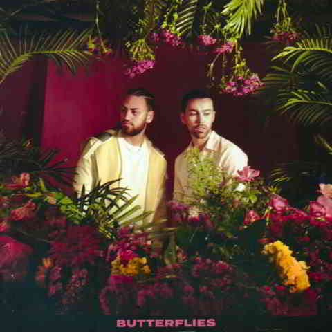 دانلود آهنگ MAX & Ali Gatie به نام Butterflies