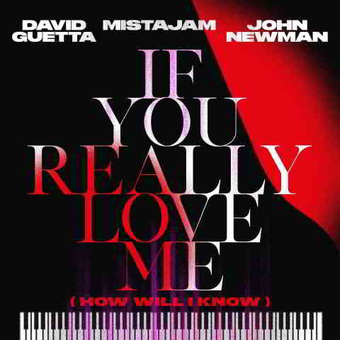 دانلود آهنگ David Guetta, MistaJam & John Newman به نام If You Really Love Me (How Will I Know) [Extended]