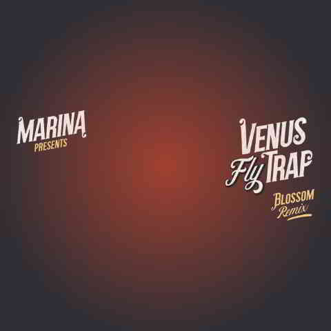 دانلود آهنگ MARINA به نام Venus Fly Trap (Blossom Remix)