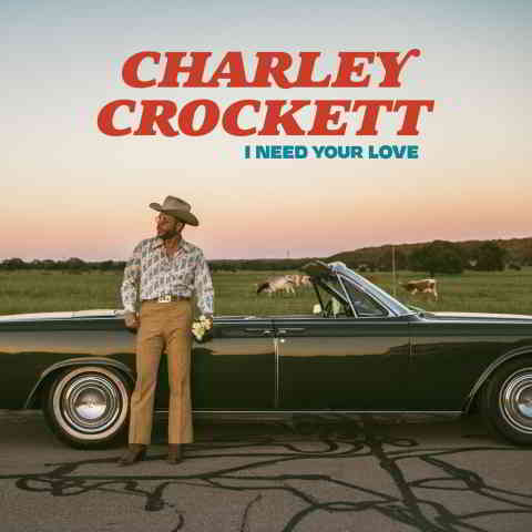 دانلود آهنگ Charley Crockett به نام I Need Your Love