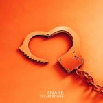 دانلود آهنگ DJ Snake به نام You Are My High
