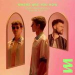دانلود آهنگ Lost Frequencies & Calum Scott به نام Where Are You Now