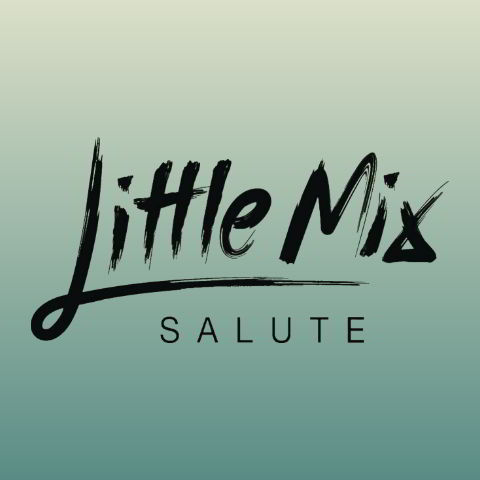 دانلود آهنگ Little Mix به نام Salute