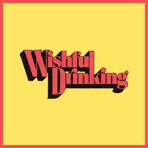 دانلود آهنگ Ingrid Andress & Sam Hunt به نام Wishful Drinking
