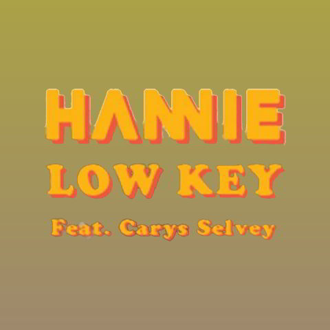 دانلود آهنگ Hannie ft. Carys Selvey به نام Low Key