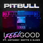 دانلود آهنگ Pitbull ft. Anthony Watts & DJWS به نام I Feel Good