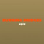 دانلود آهنگ Sigrid به نام Burning Bridges