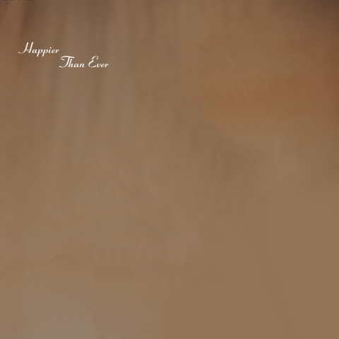 دانلود آهنگ Billie Eilish به نام Happier Than Ever (Edit)