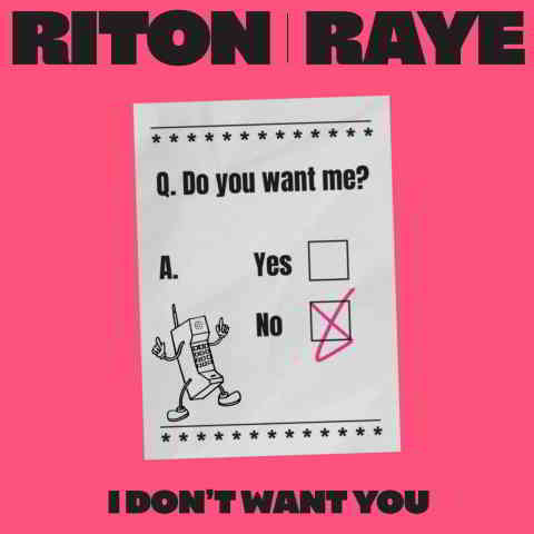 دانلود آهنگ Riton & RAYE به نام I Don’t Want You