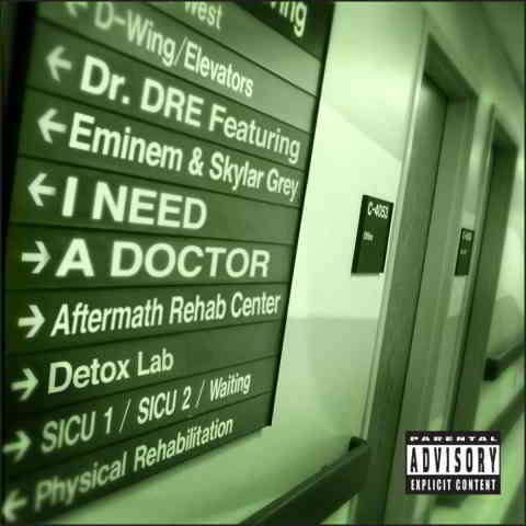 دانلود آهنگ Dr. Dre ft. Eminem & Skylar Grey به نام I Need a Doctor