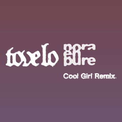 دانلود آهنگ Tove Lo به نام Cool Girl (Nora En Pure Remix)