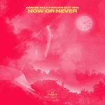 دانلود آهنگ Görkem Sala & Solven به نام Now or Never