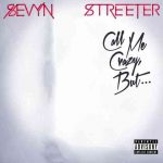 دانلود آهنگ Sevyn Streeter ft. Chris Brown به نام It Won’t Stop