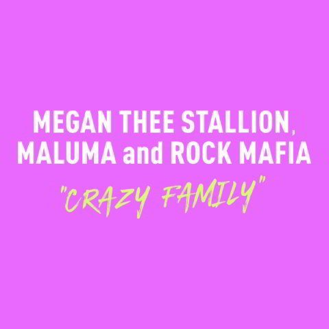 دانلود آهنگ Megan Thee Stallion, Maluma & Rock Mafia به نام Crazy Family