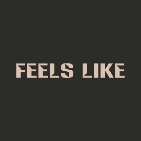 دانلود آهنگ Gracie Abrams به نام Feels Like