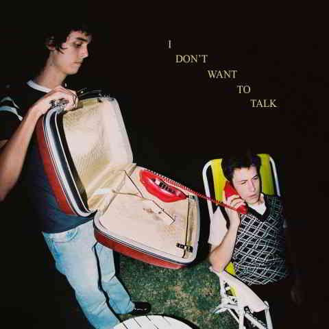 دانلود آهنگ Wallows به نام I Don’t Want to Talk