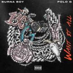 دانلود آهنگ Burna Boy ft. Polo G به نام Want It All