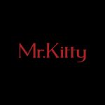 دانلود آهنگ Mr.Kitty به نام After Dark