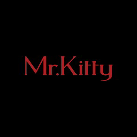 دانلود آهنگ Mr.Kitty به نام After Dark