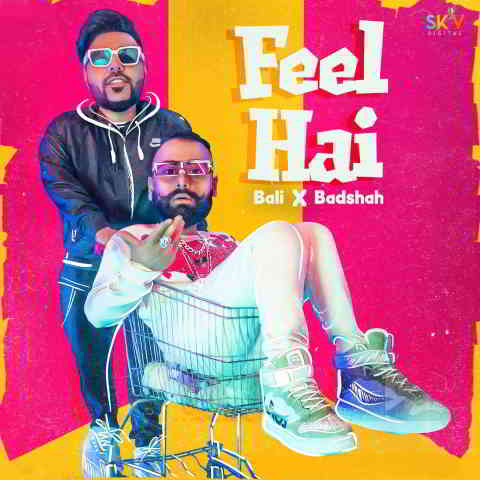 دانلود آهنگ Bali & Badshah به نام Feel Hai