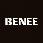 دانلود آهنگ BENEE به نام Somebody That I Used to Know