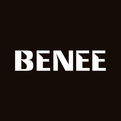 دانلود آهنگ BENEE به نام Somebody That I Used to Know