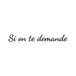 دانلود آهنگ Amel Bent به نام Si on te demande
