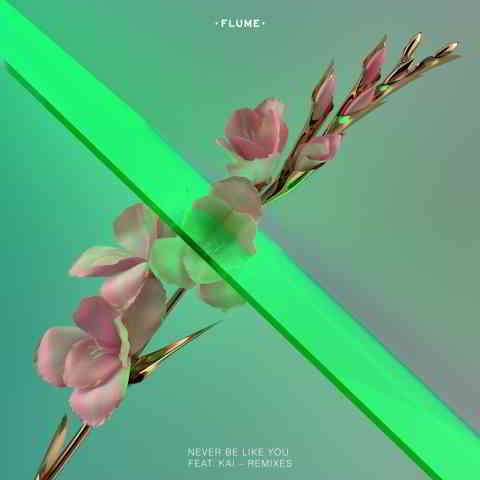 دانلود آهنگ Flume ft. Kai به نام Never Be Like You