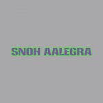 دانلود آهنگ Snoh Aalegra ft. Tyler, The Creator به نام NEON PEACH