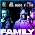 دانلود آهنگ David Guetta به نام Family