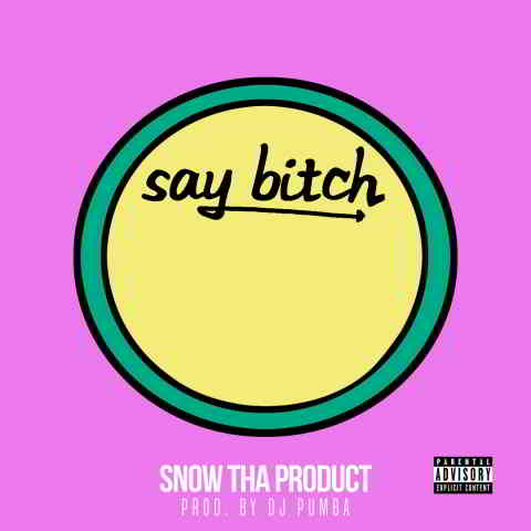 دانلود آهنگ Snow Tha Product به نام Say Bitch