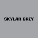 دانلود آهنگ Skylar Grey به نام Vampire At the Swimming Pool