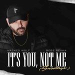دانلود آهنگ Masked Wolf & Bebe Rexha به نام It’s You, Not Me (Sabotage)