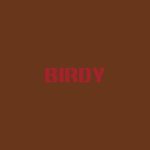 دانلود آهنگ Birdy به نام I Only Want To Be With You