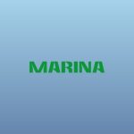دانلود آهنگ MARINA به نام Happy Loner