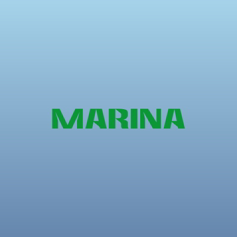 دانلود آهنگ MARINA به نام Happy Loner