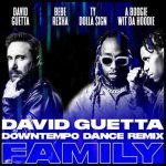دانلود آهنگ David Guetta به نام Family (David Guetta Downtempo Dance Remix)