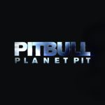 دانلود آهنگ Pitbull به نام Something for the DJ’s