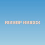 دانلود آهنگ Bishop Briggs به نام Art of Survival