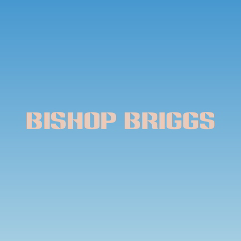دانلود آهنگ Bishop Briggs به نام High Water