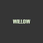 دانلود آهنگ WILLOW به نام Wait a Minute!