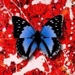 دانلود آهنگ Ed Sheeran ft. Ellinoora به نام 2step