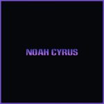 دانلود آهنگ Noah Cyrus به نام Mr. Percocet