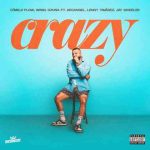 دانلود آهنگ Dímelo Flow, Wisin & Ozuna به نام Crazy