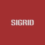 دانلود آهنگ Sigrid به نام Strangers